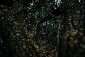 BIB: 
                            <button type="button" onclick="openModal(25680919)" class="btn btn-primary btn-sm float-right btn-popup" data-toggle="modal" data-target=".modal-high-quality">
                        <i class="fas fa-shopping-cart"></i> Add to Cart
                    </button>
                                            <button type="button" onclick="isThisMe(25680919, true)" class="btn btn-success btn-sm float-right btn-popup btn-isme hidden" data-toggle="tooltip" data-placement="bottom" title="นี่คือรูปของคุณใช่ไหม คลิกที่นี่เพื่อเอาเข้าอัลบั้ม">
                        <i class="fas fa-plus"></i> Add to album
                    </button>
                    <button type="button" onclick="isThisMe(25680919, false)" class="btn btn-warning btn-sm float-right btn-popup btn-isnotme hidden">
                        <i class="fas fa-ban"></i> Remove from album
                    </button>